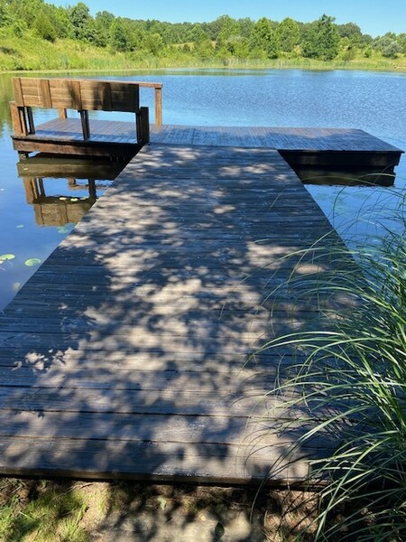 Applying Water Sealer & Pressure Washing in Vienna, VA (5)